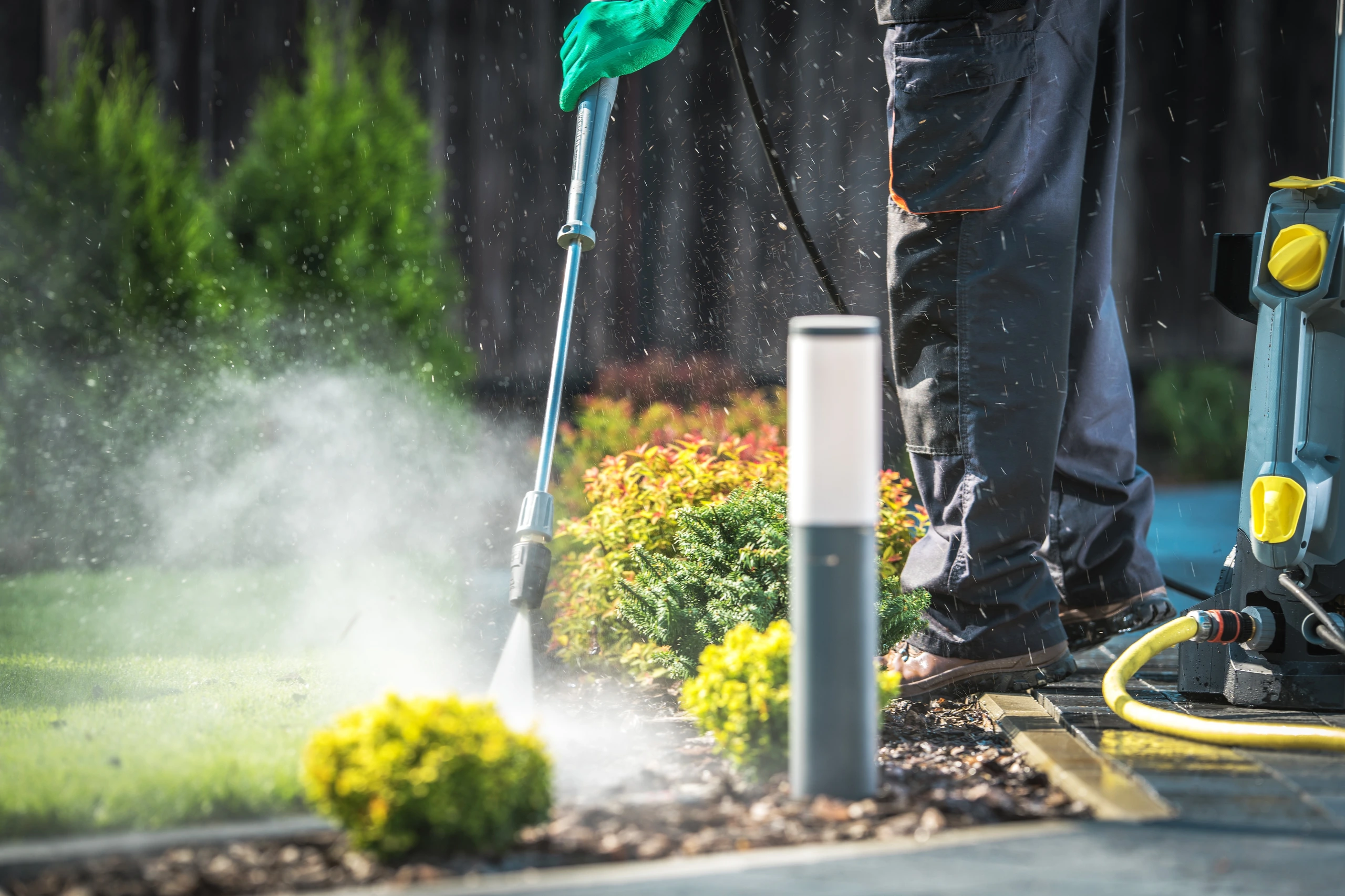 General Cleaning