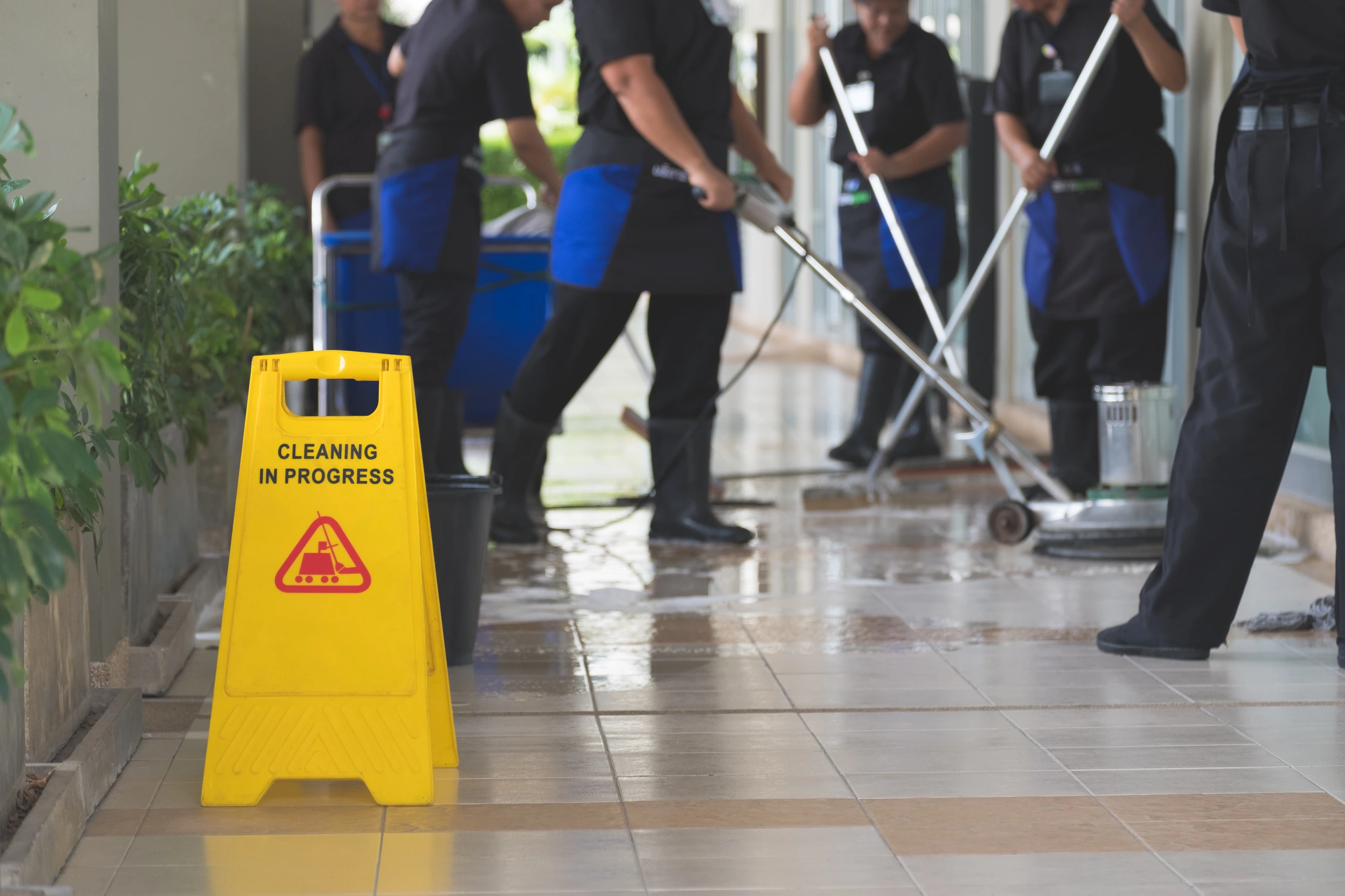 Cleaning Residential or Commercial